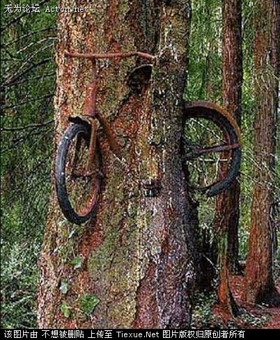 2009_9_12_69078_9969078.jpg