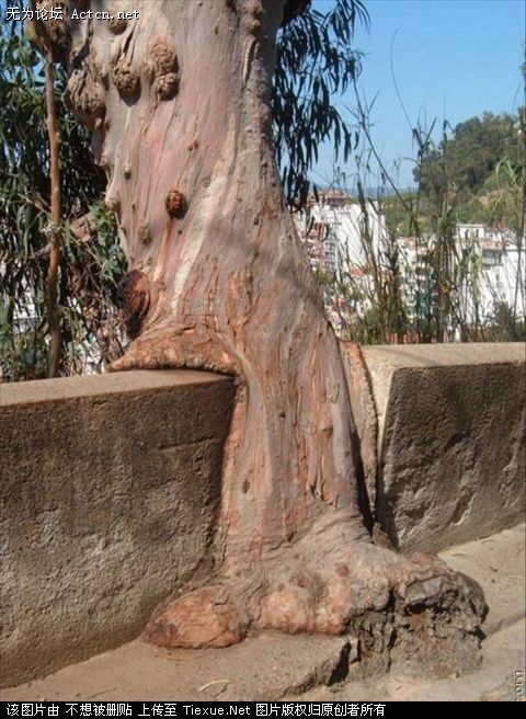 2009_9_12_69101_9969101.jpg