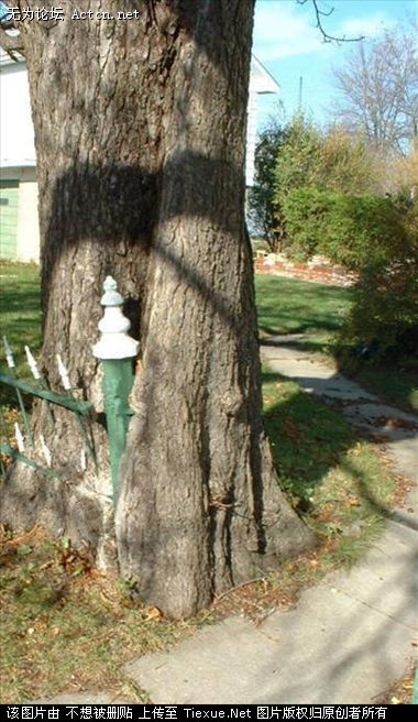 2009_9_12_69096_9969096.jpg