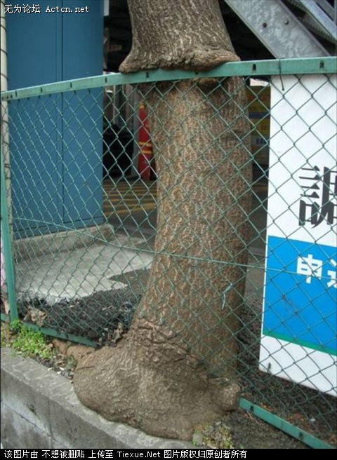 2009_9_12_69086_9969086.jpg