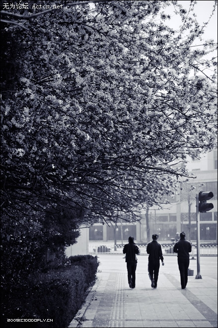 20090413_1d6622f016a327749970RwlIAo5Ckrr2.jpg