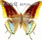 u=621671255,4085776715&fm=0&gp=16.jpg