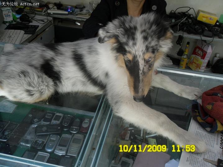 SDC10698.JPG
