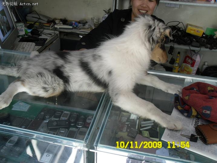 SDC10702.JPG