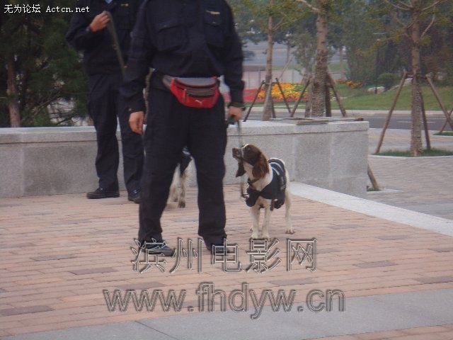 DSC00476.jpg