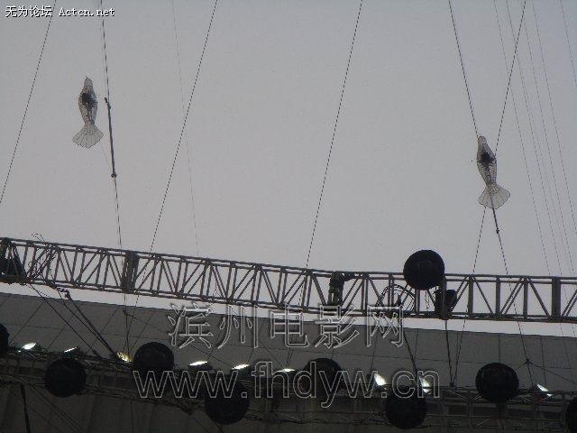 DSC00468.jpg