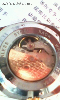 IMG0010A.jpg