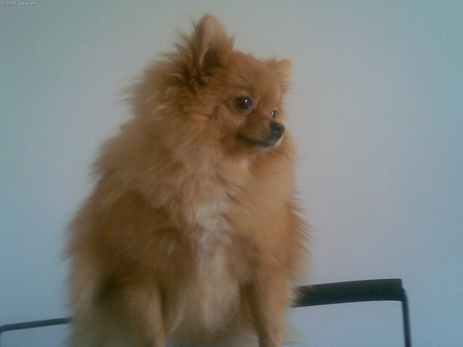 20061027(008).jpg