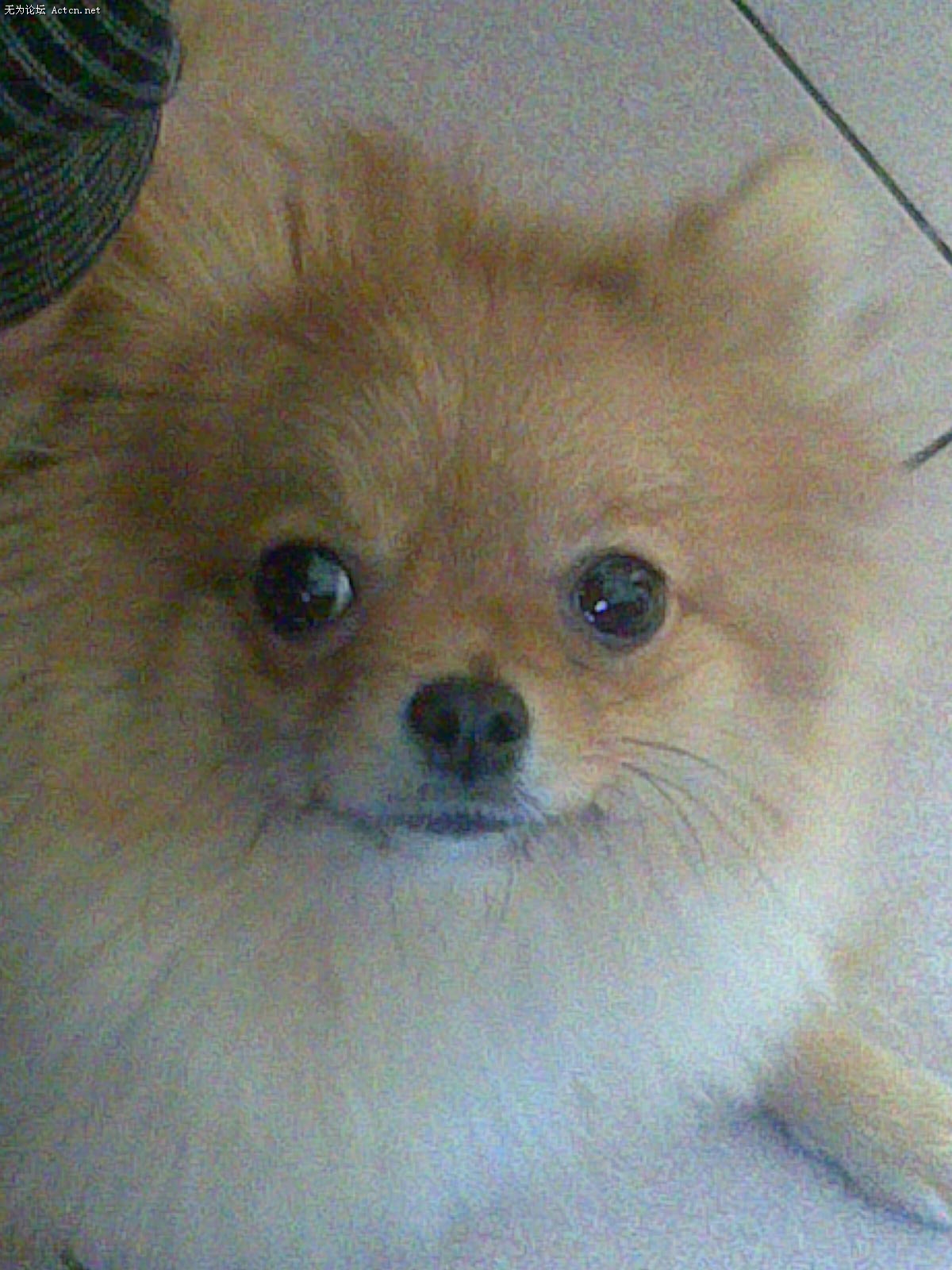20061107(004).jpg