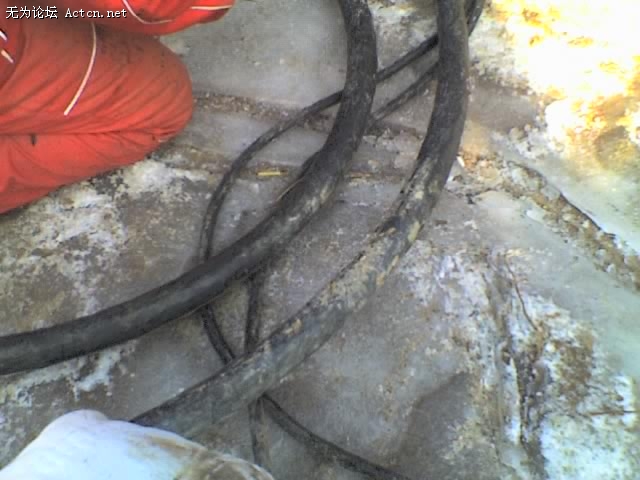 07-01-10_1022.jpg