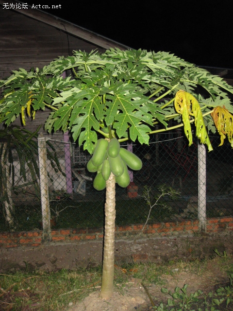 IMG_1883.JPG