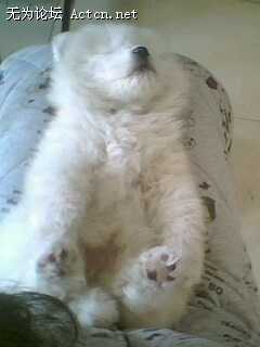 IMG0038A.jpg