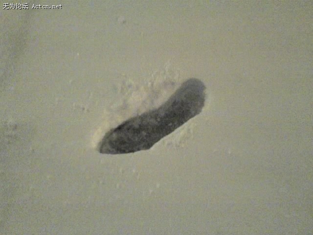 01-03-10_0608.jpg