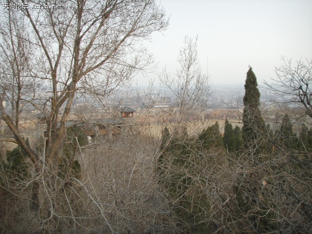 SSM18490.JPG