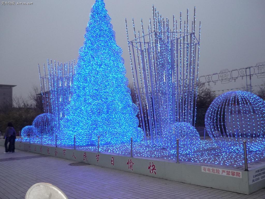 P1010648.JPG
