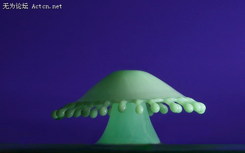 p_large_9X3L_5627000512702d0f.jpg