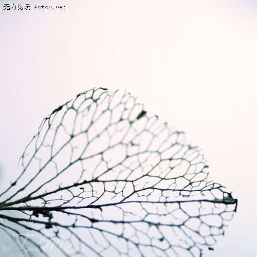 p_large_eMhS_4899c206100.jpg