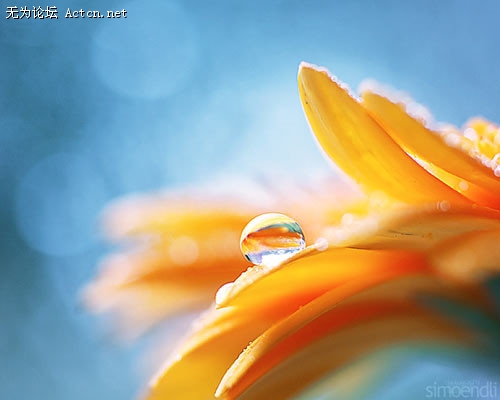 p_large_K63H_6c8800056afb2d0c.jpg