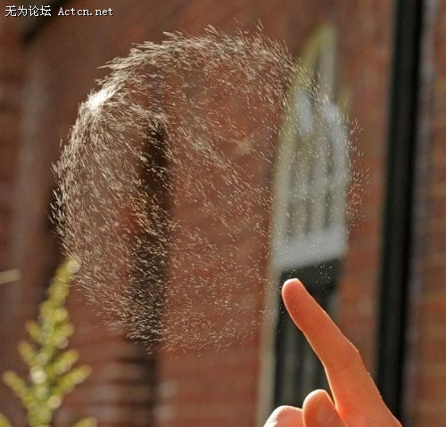 p_large_TEL2_71601j017020.jpg