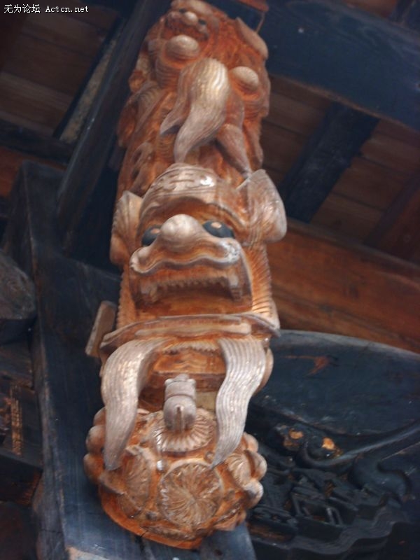 DSCN1654.JPG