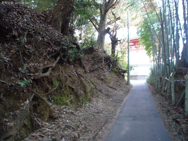 P1050620.jpg