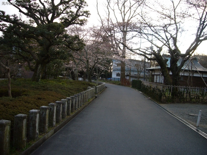 P1050623.jpg