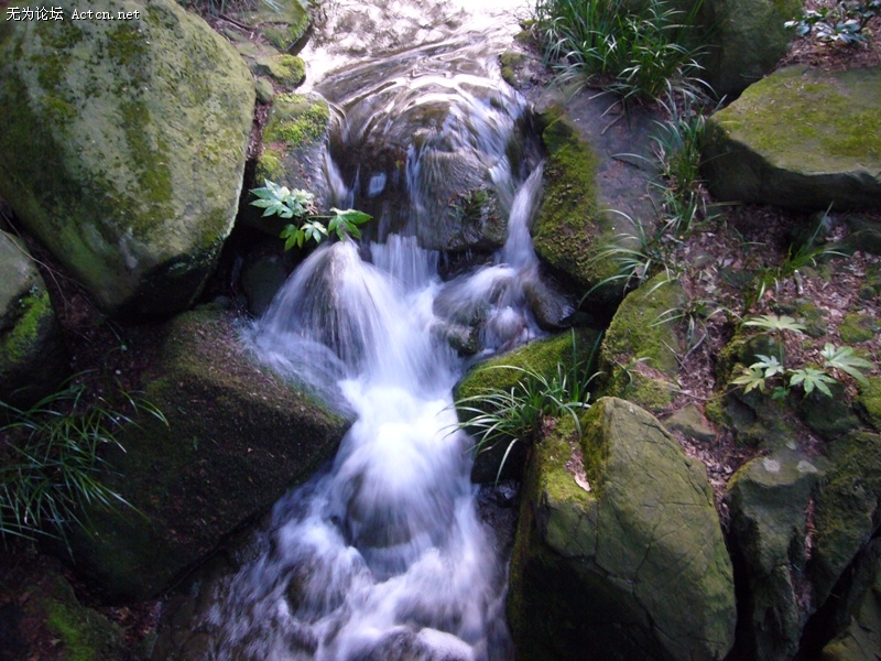 P1050645.jpg