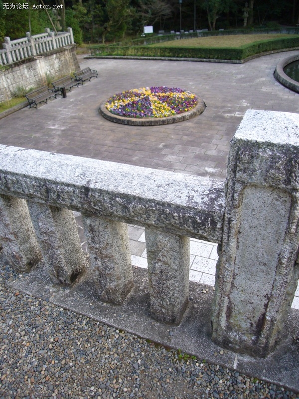 P1050630.jpg