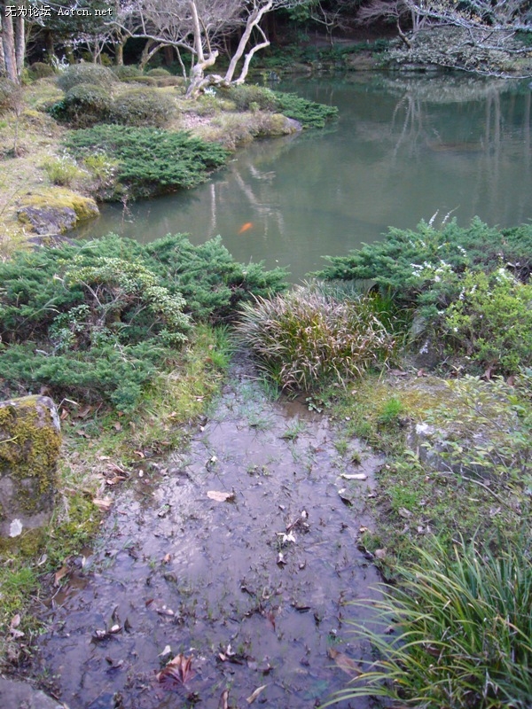 P1050642.jpg