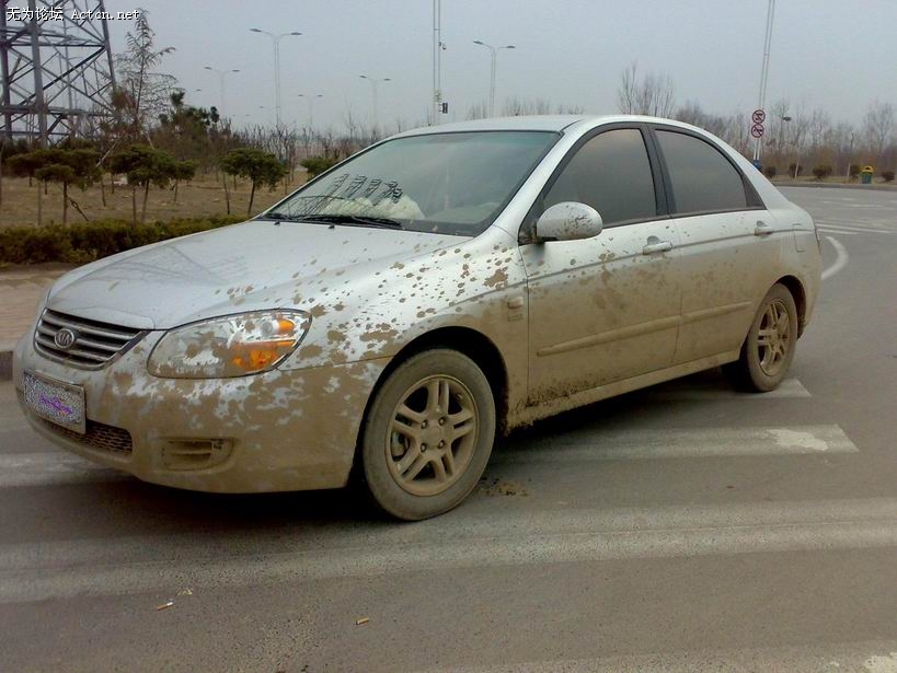 С С 20100318914.jpg