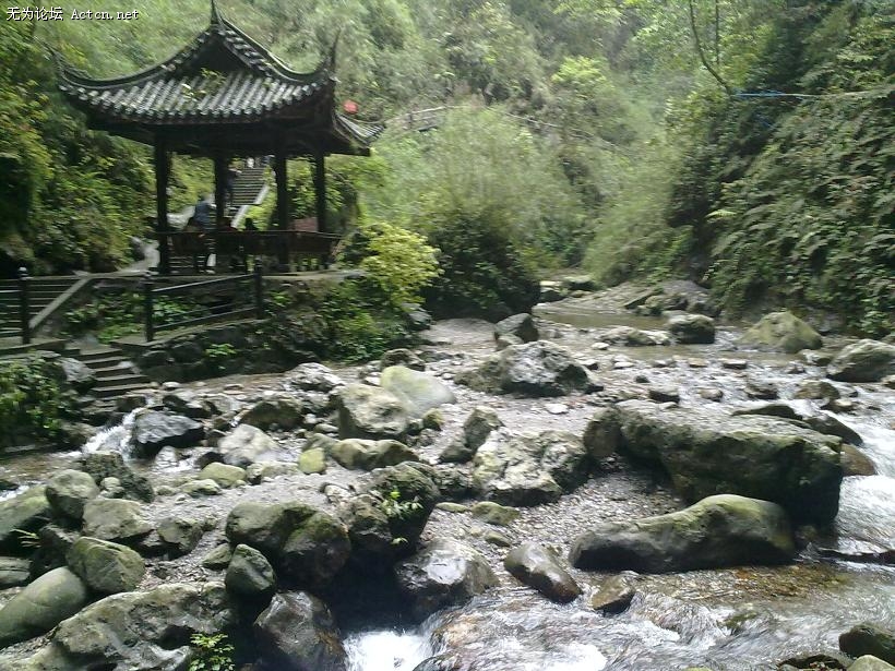 20100426279.jpg