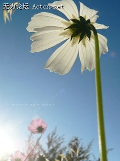 co100306141S0-10.jpg