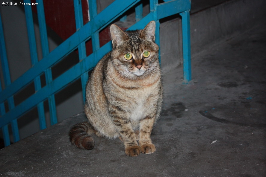 IMG_1482'.JPG
