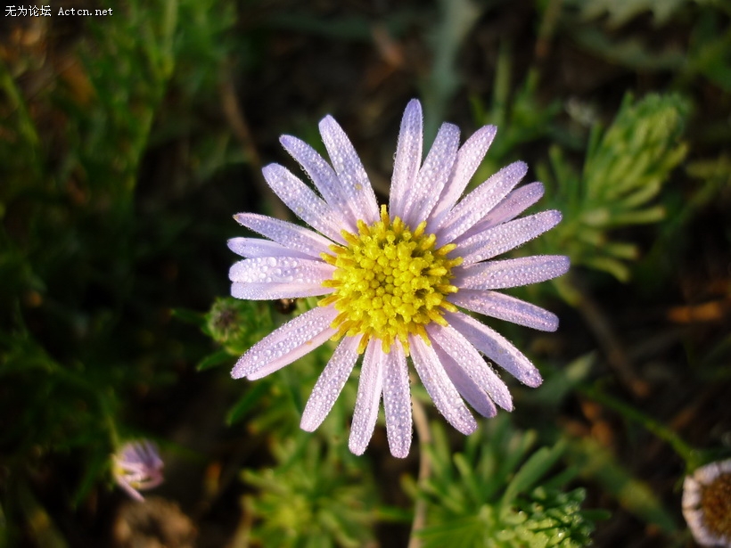 P1020149.jpg