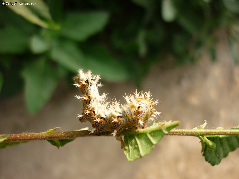 P1020158.jpg