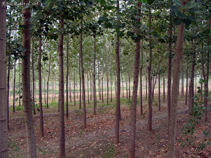 DSC02232.JPG