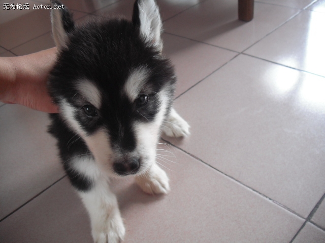 DSCF1474.jpg