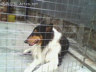IMG0509A.jpg