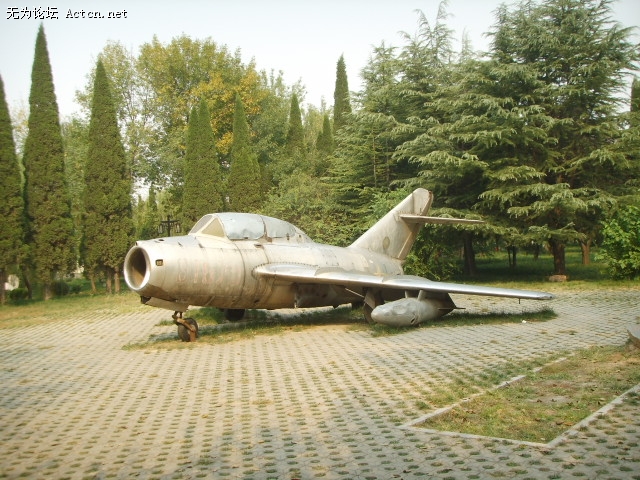 SSM11147.JPG