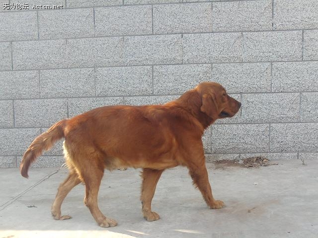 PHOT0066.JPG
