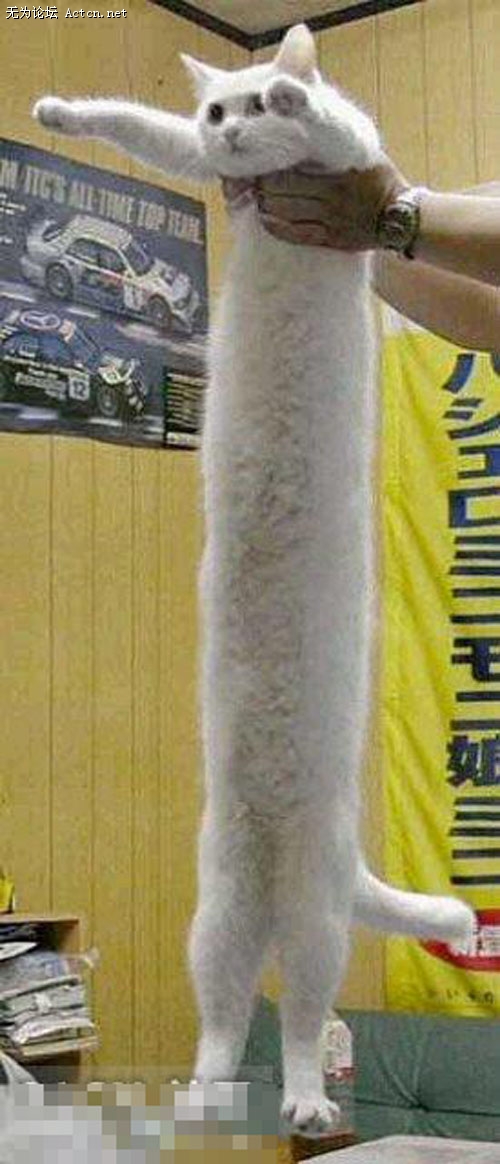 73_100050_26.jpg