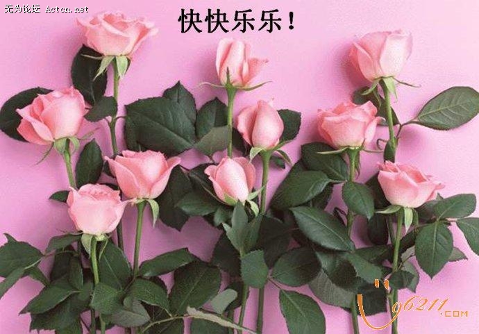 156_6436_ddf74eb83ad2ee3.jpg