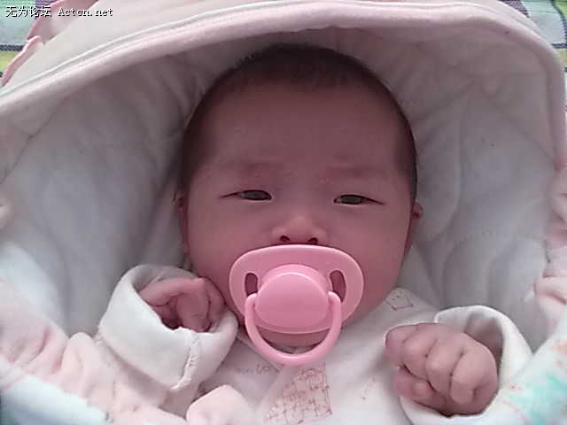 20110312162.jpg