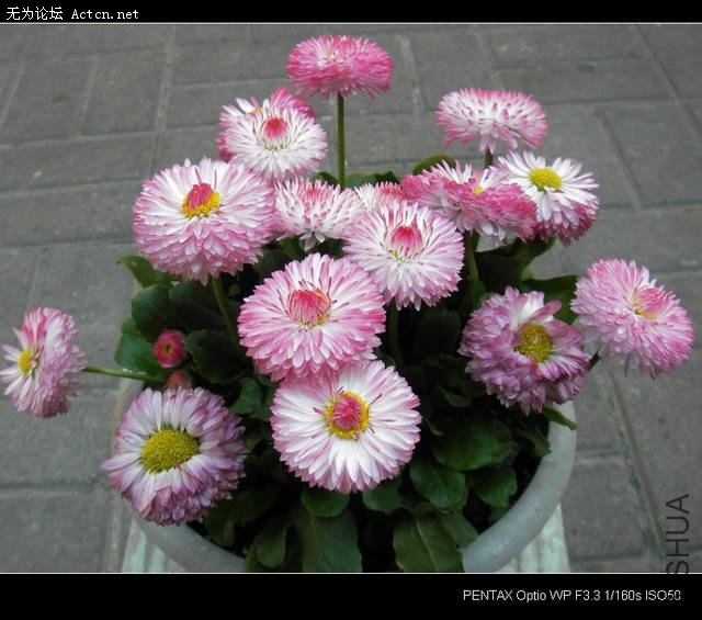 IMGP3580.JPG