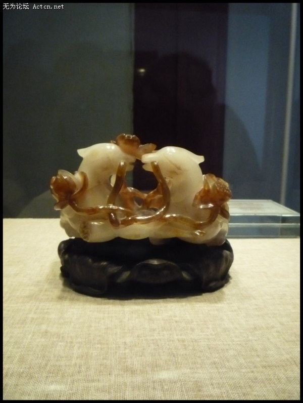 conew_p1030995.jpg
