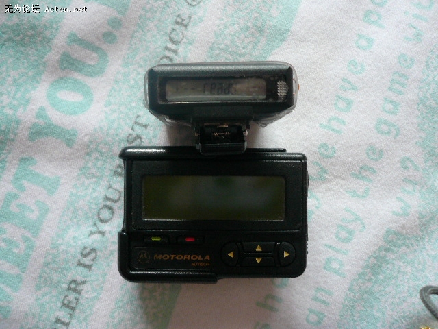 P1000823.JPG