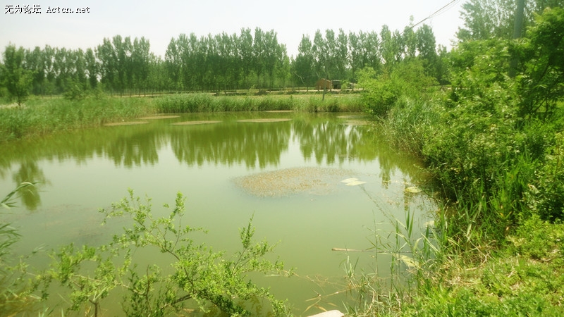 dsc03560_ds.jpg