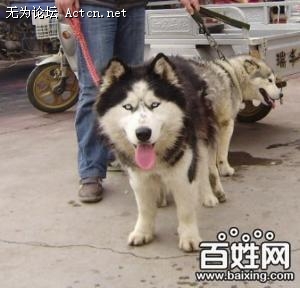 ac328f0cbce358a3ffcaa1b1ab2ac21d_sm.jpg