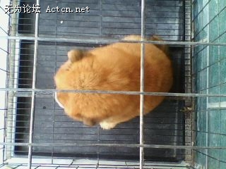 IMG0770A.jpg