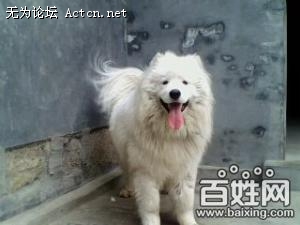 25db8bb5921fd06895cca9c50c16452e_sm.jpg